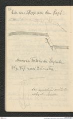 Seite 28, Tagebuch "Stein a/Donau | hinten Landersdorf" (NHMW-PRAE-BBB-34)